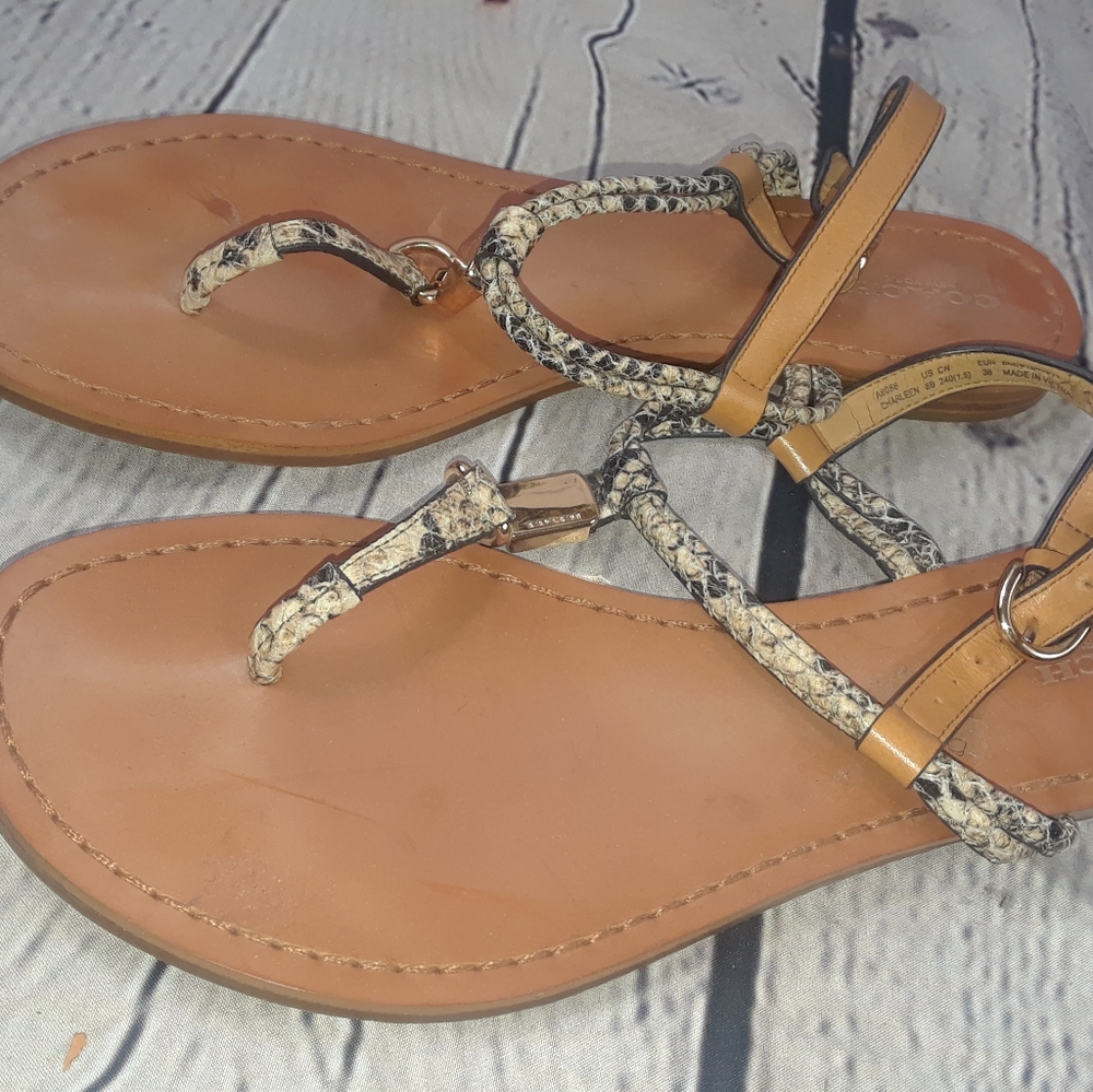 Coach sandals - Picture 7 of 8